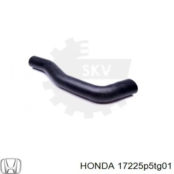  Honda 17225P5TG01 ціна, від 14.11 USD