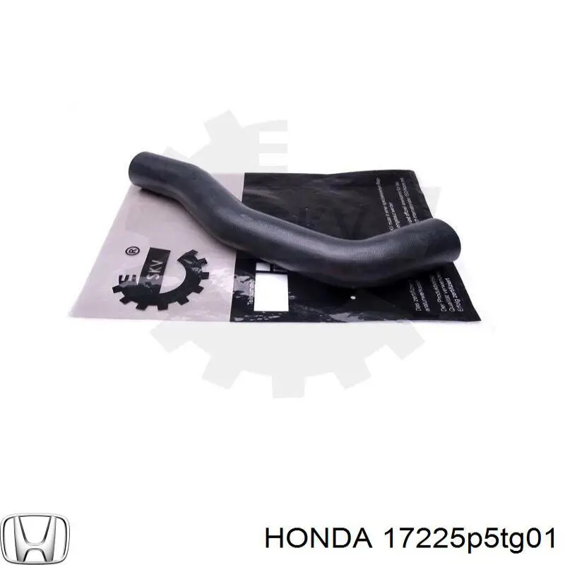 17225P5TG01 Honda 
