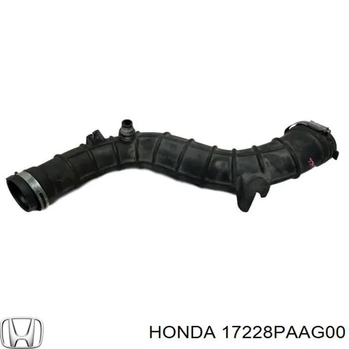  17228PAAG00 Honda