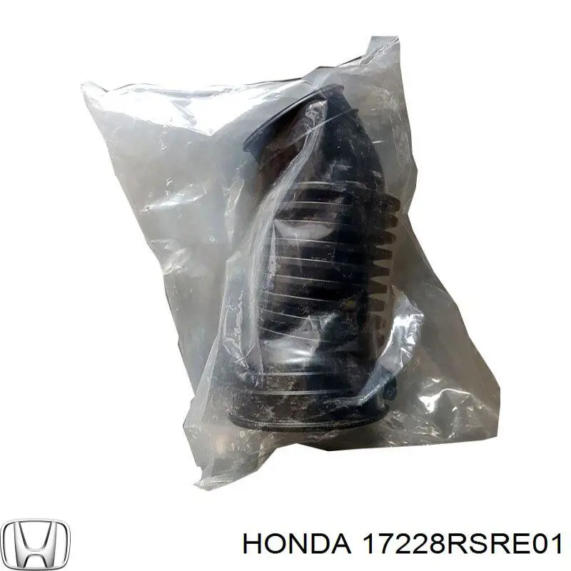  17228RSRE01 Honda