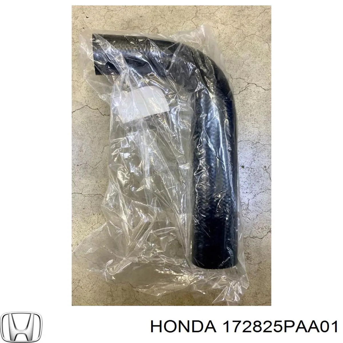  172825PAA01 Honda