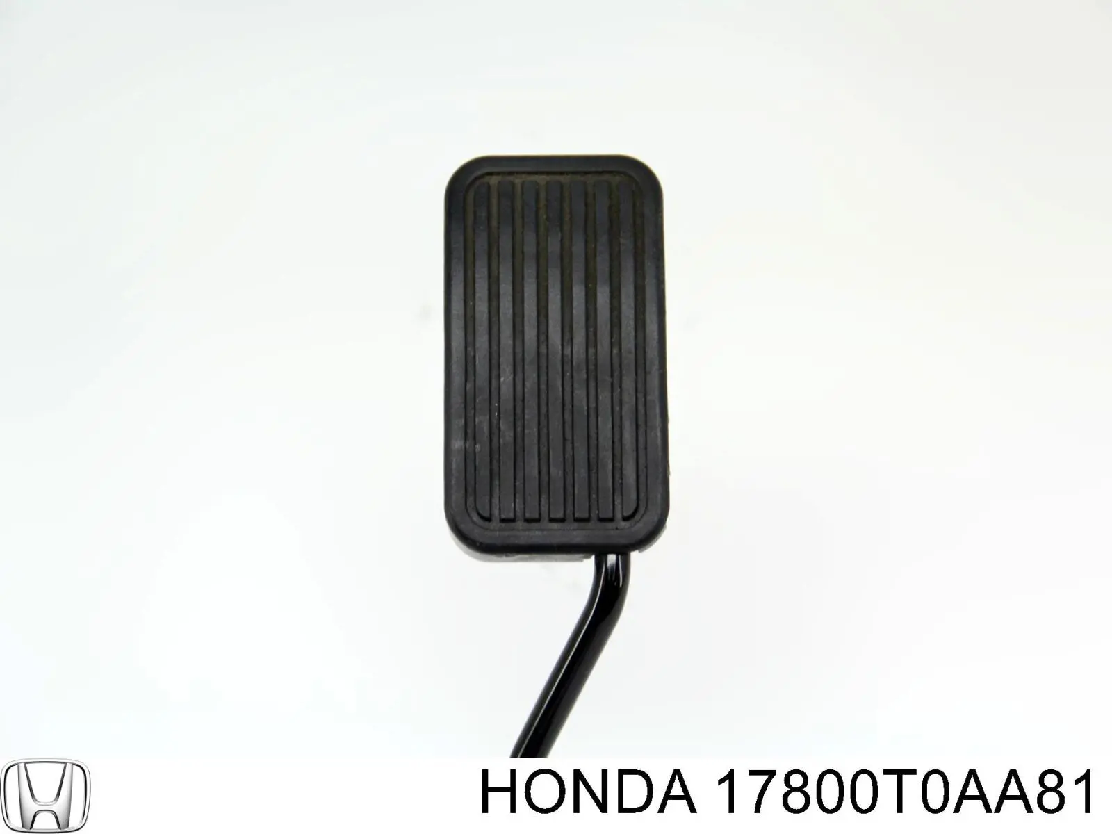  17800T0AA81 Honda
