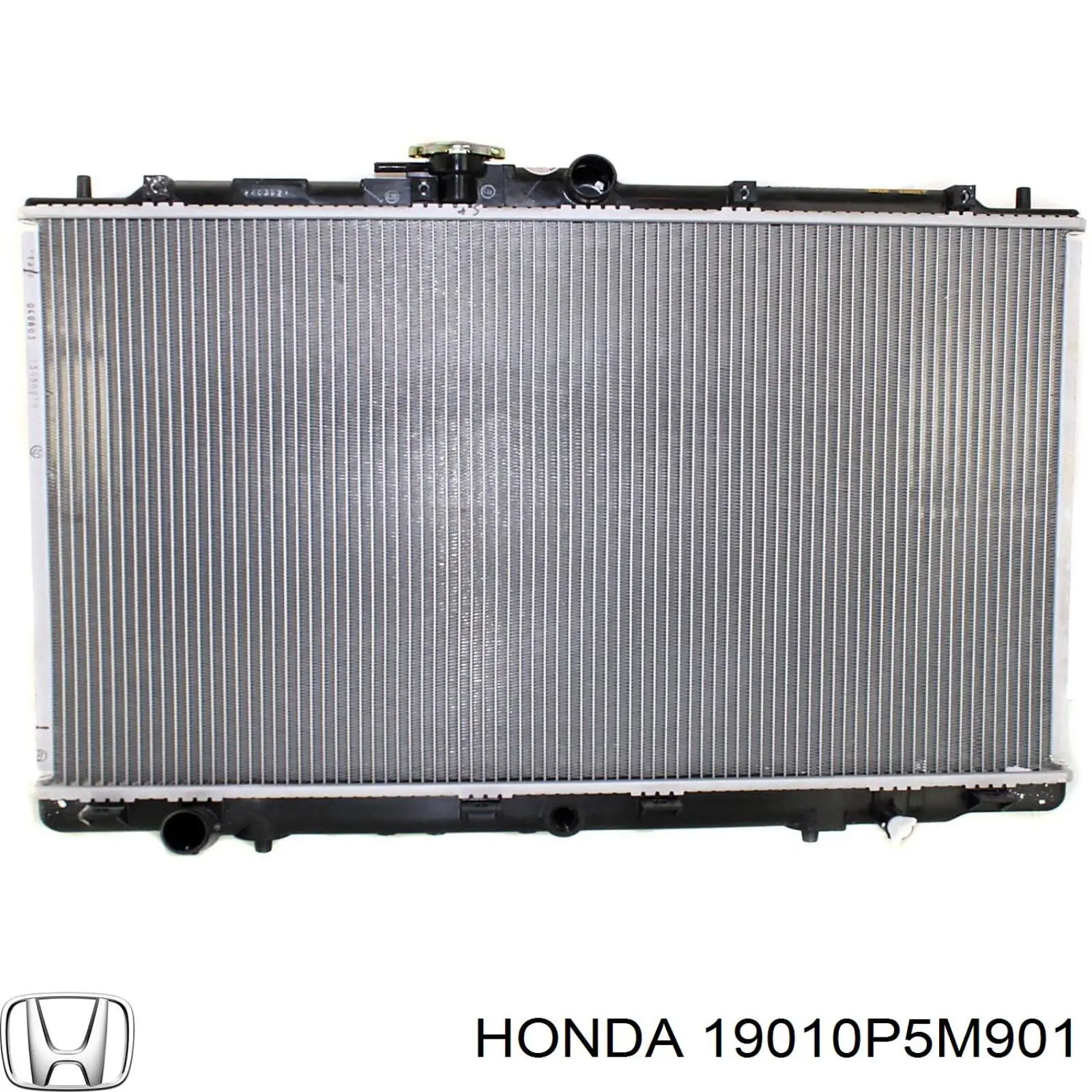 19010P5M901 Honda радіатор охолодження двигуна