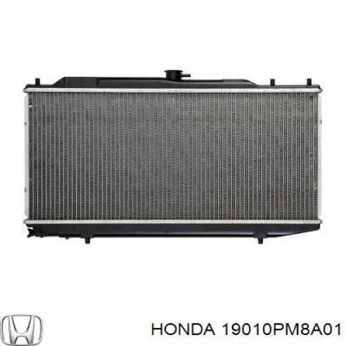 Радіатор охолодження двигуна 19010PM8A01 Honda