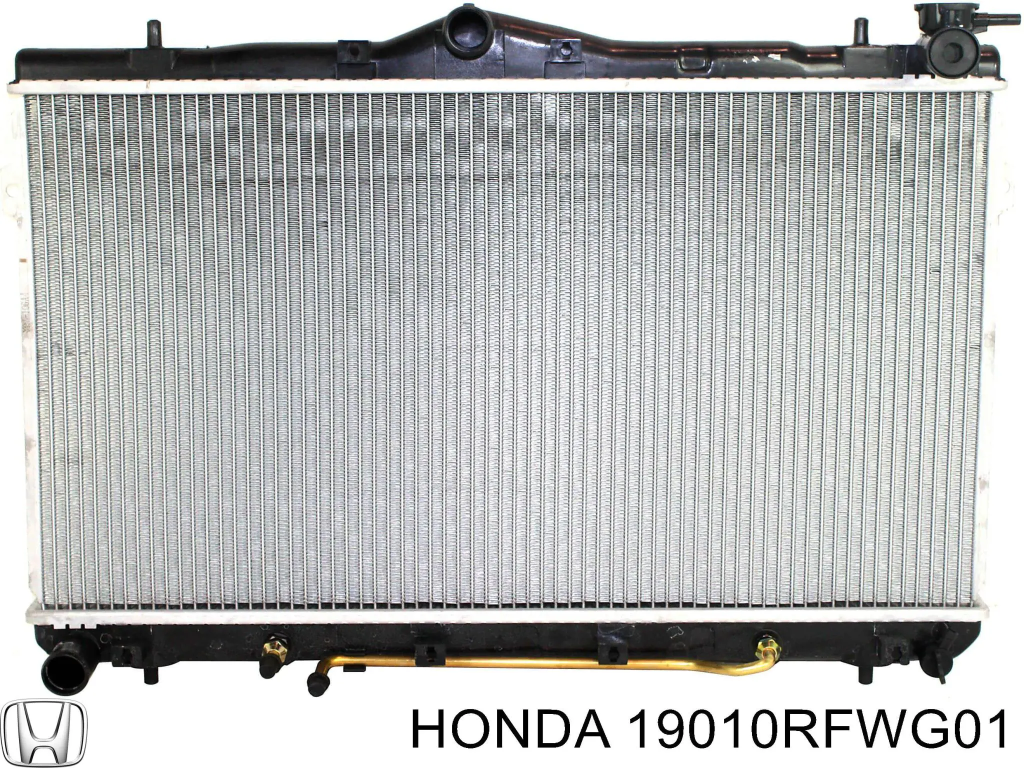 19010RFWG01 Honda Радіатор охолодження двигуна