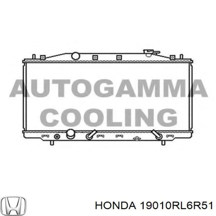 Купити 19010RL6R51 Honda Радіатор двигуна