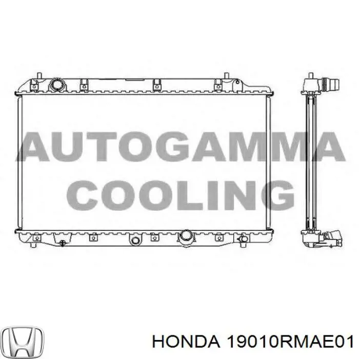 Купити 19010RMAE01 Honda Радіатор двигуна