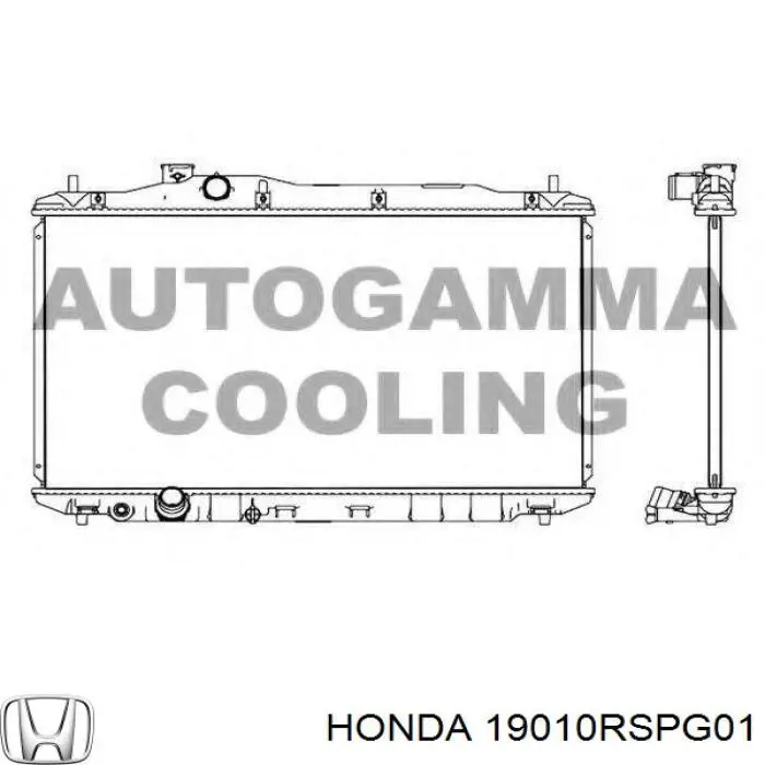 Купити 19010RSPG01 Honda Радіатор двигуна