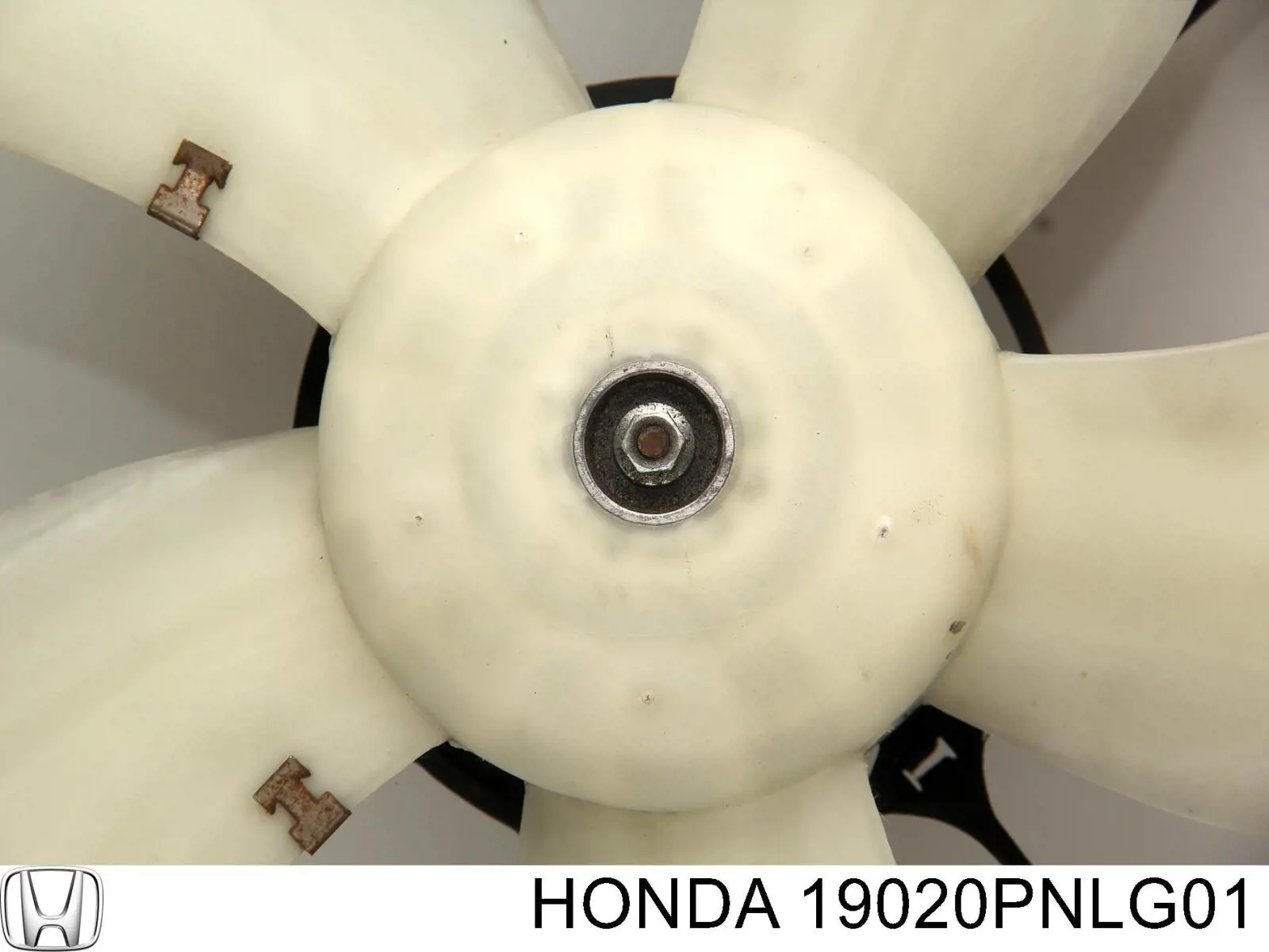 19020PNLG01 Honda електровентилятор охолодження в зборі (двигун + крильчатка)