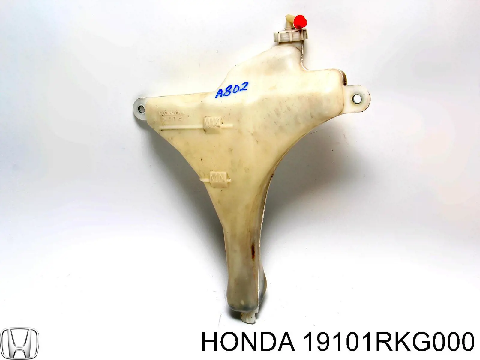  19101RKG000 Honda