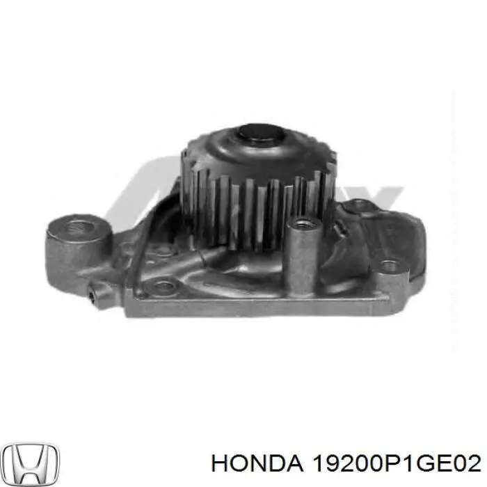 19200P1GE02 Honda помпа водяна, (насос охолодження)