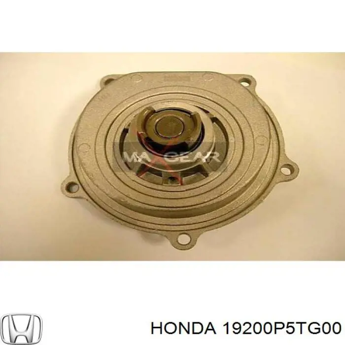 19200P5TG00 Honda Насос охолодження