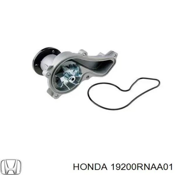 Помпа охолодження Honda 19200RNAA01 ціна, від 32.62 USD