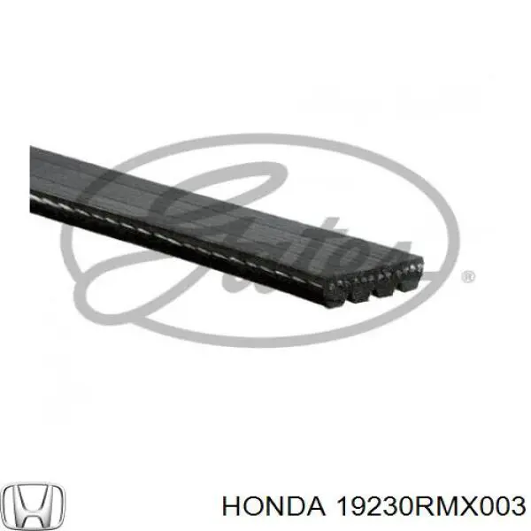 Клиновий ремінь Honda 19230RMX003 ціна, від 10.40 USD