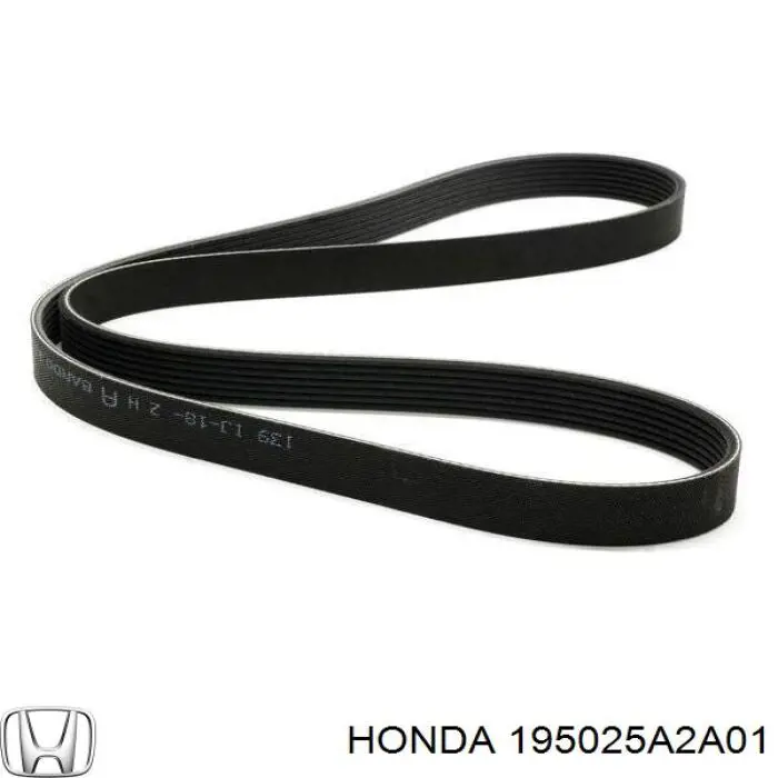 195025A2A01 Honda Шланг/патрубок радіатора охолодження, нижній