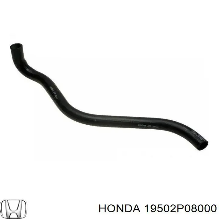 19502P08000 Honda 