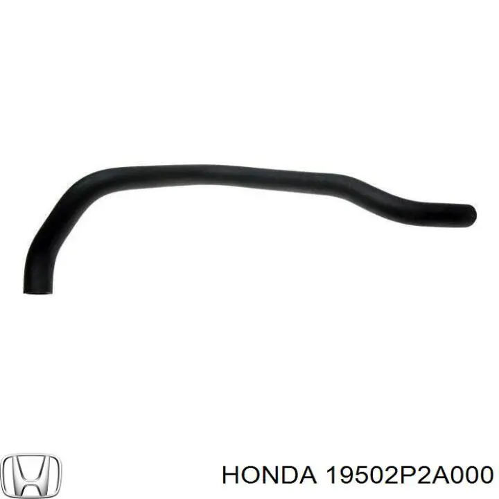 Шланг/патрубок радіатора охолодження, нижній Thermotec DW4002TT ціна, від 11.35 USD