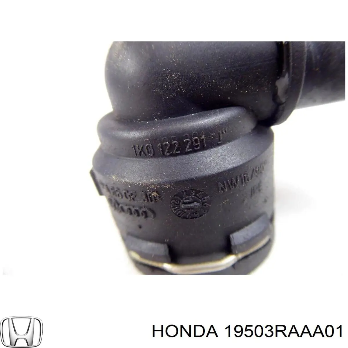 Купити 19503RAAA01 Honda Шланг/патрубок радіатора охолодження, нижній