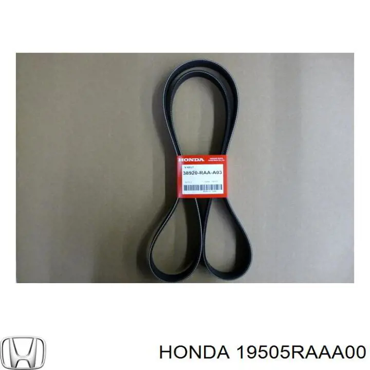 Купити 19505RAAA00 Honda Шланг/патрубок радіатора охолодження, нижній