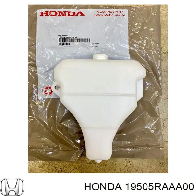 19505RAAA00 Honda Шланг/патрубок радіатора охолодження, нижній