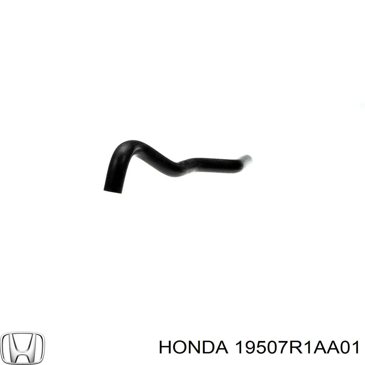  19507R1AA01 Honda