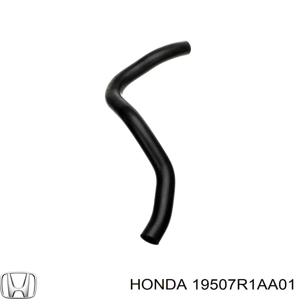  Honda 19507R1AA01