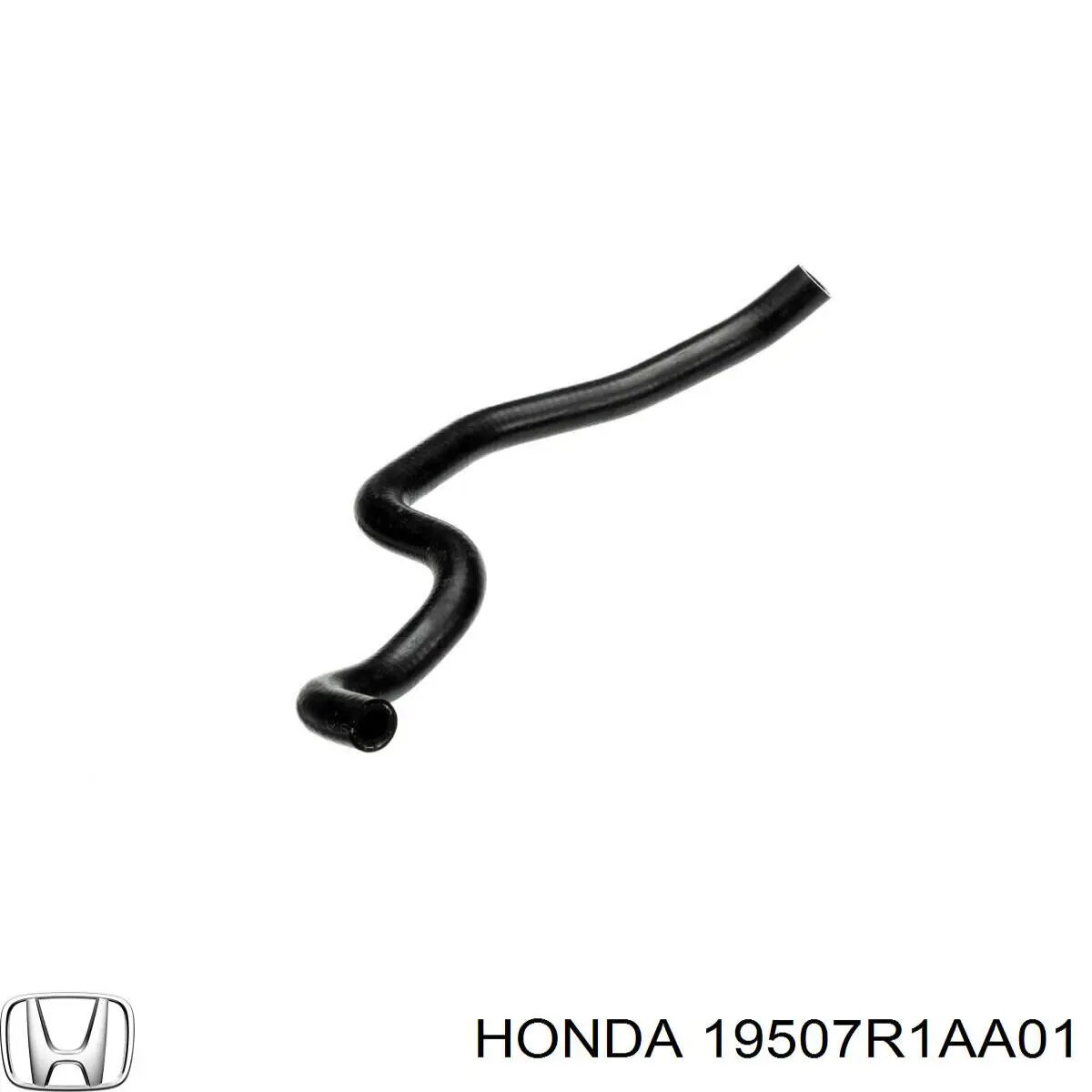 19507R1AA01 Honda 