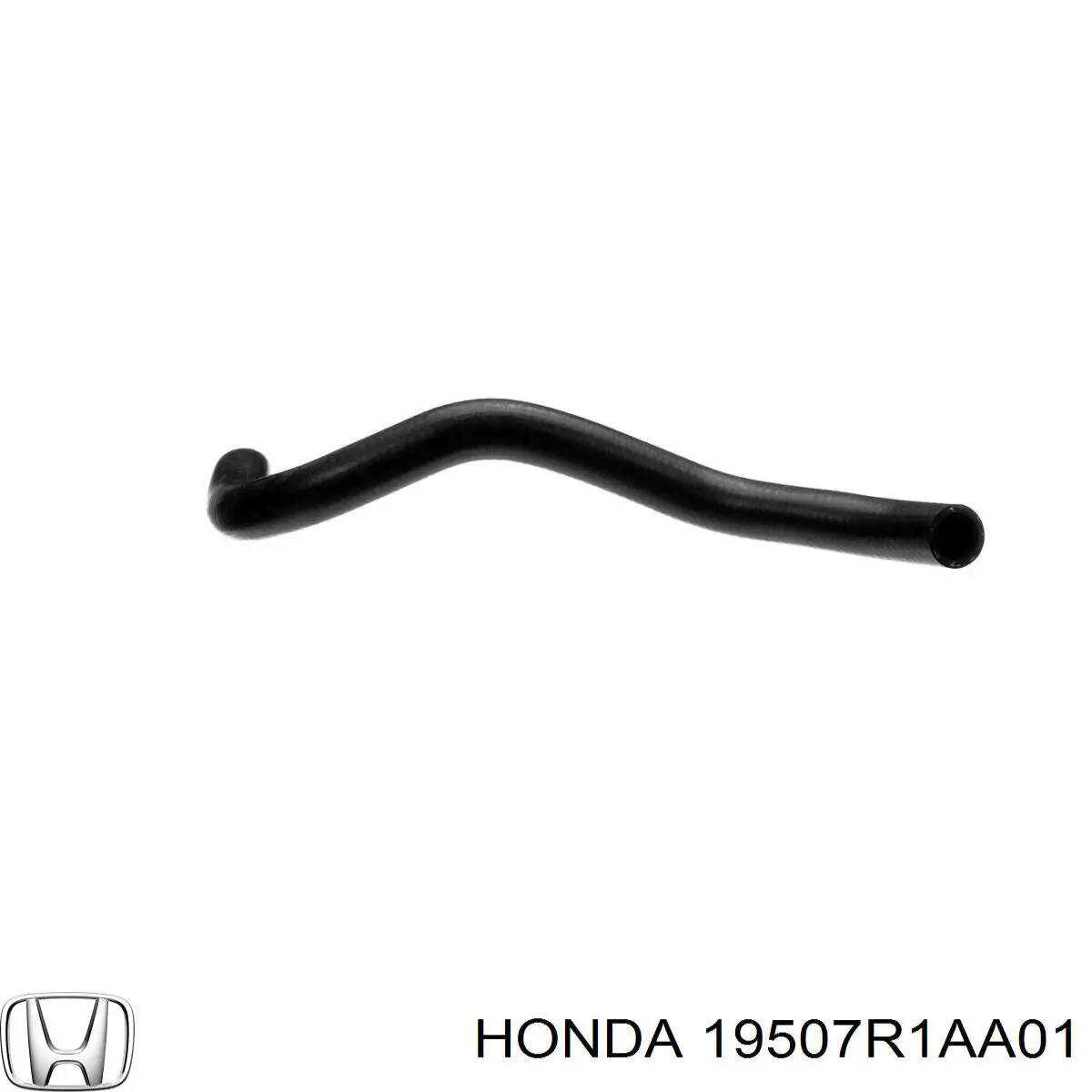 19507R1AA01 Honda 