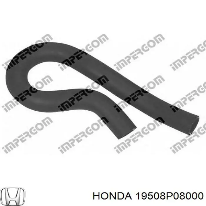  19508P08000 Honda