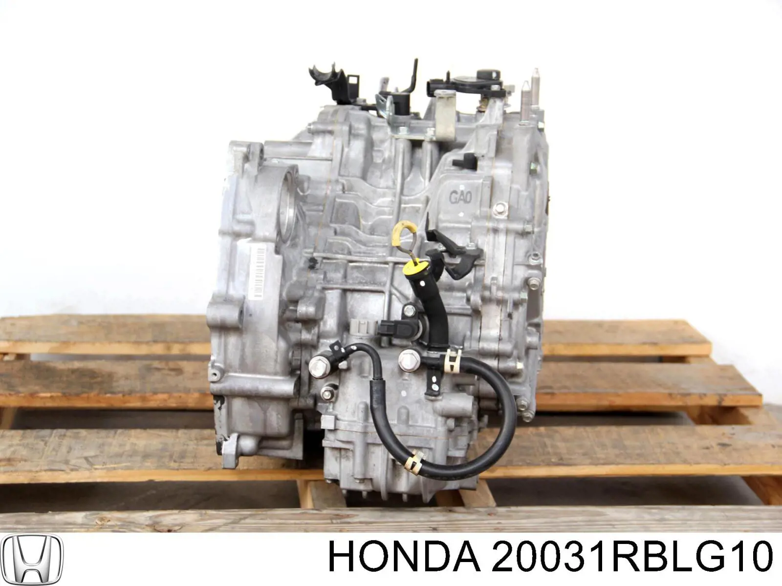  20031RBLG10 Honda