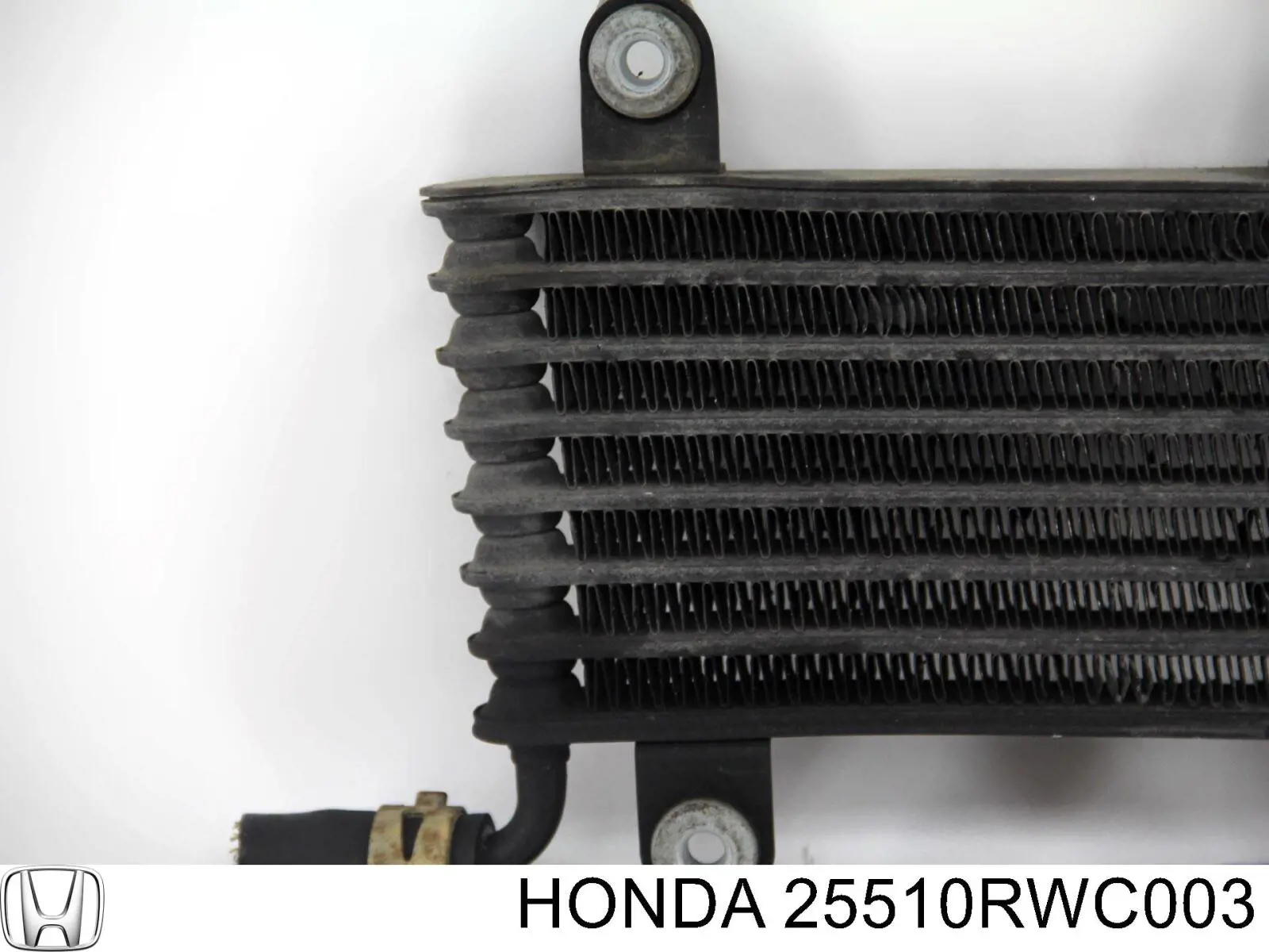  Honda 25510RWC003 ціна, від 126.98 USD