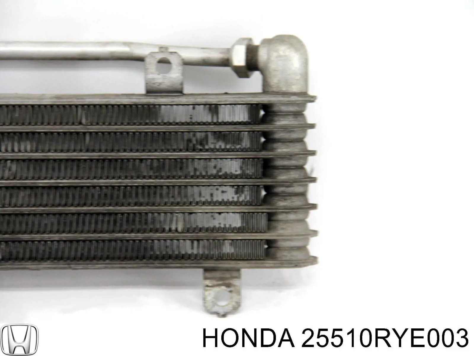 Купити 25510RYE003 Honda Радіатор охолодження, АКПП