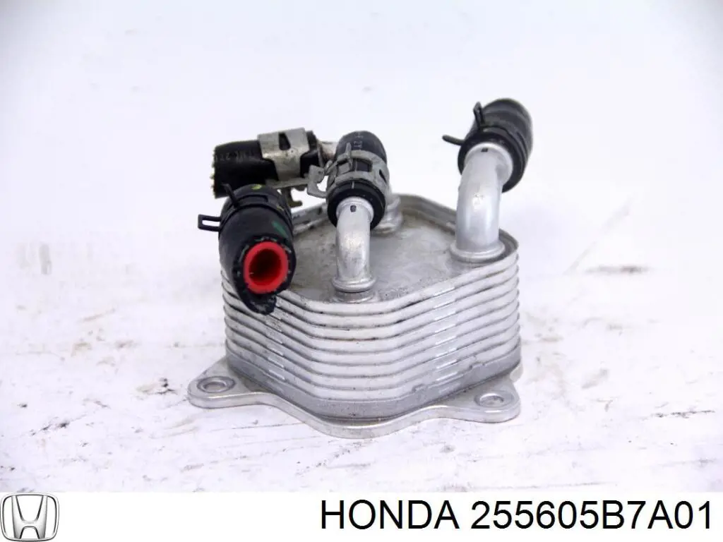 255605B7A01 Honda 
