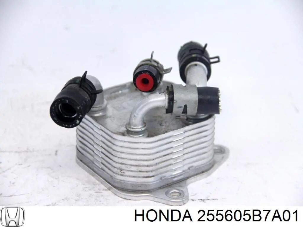  255605B7A01 Honda
