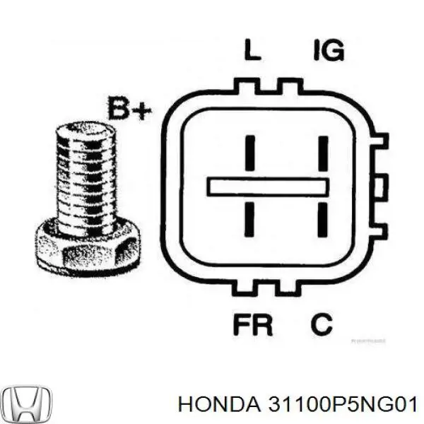 Купити 31100P5NG01 Honda Генератор