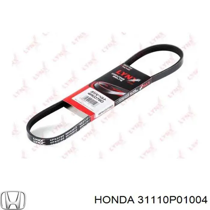 31110P01004 Honda Поліклиновий ремінь