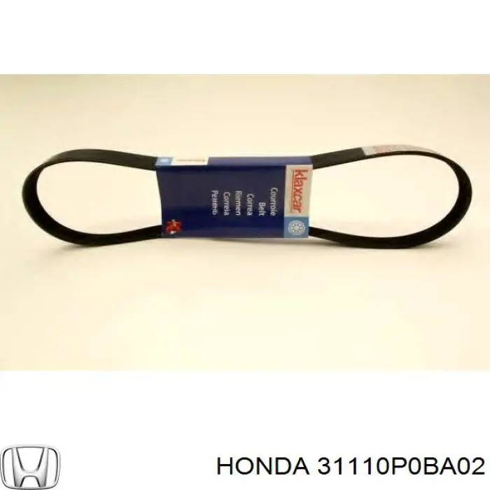 Купити 31110P0BA02 Honda Ремінь генератора