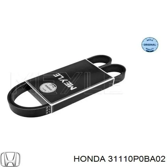 31110P0BA02 Honda Поліклиновий ремінь
