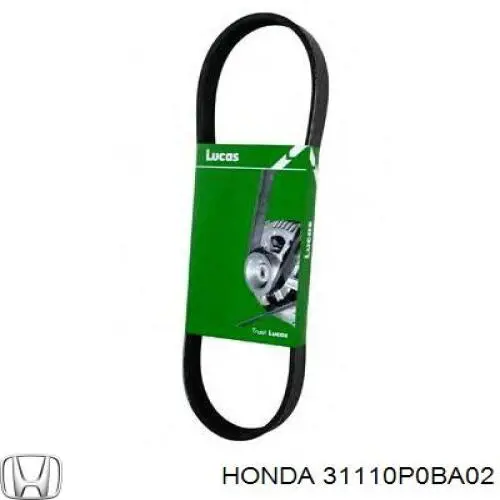 Клиновий ремінь Honda 31110P0BA02 ціна, від 7.42 USD