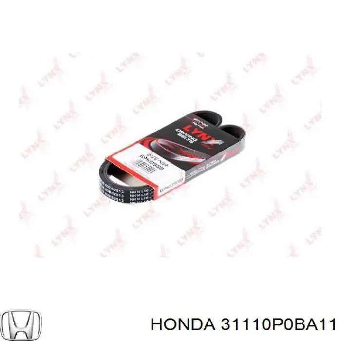 31110P0BA11 Honda Поліклиновий ремінь