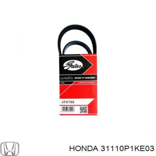 Ремінь генератора 31110P1KE03 Honda