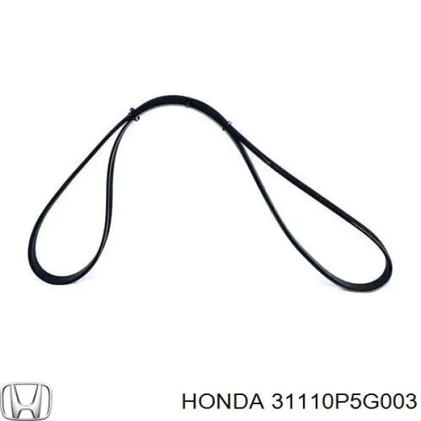 Ремінь генератора 31110P5G003 Honda