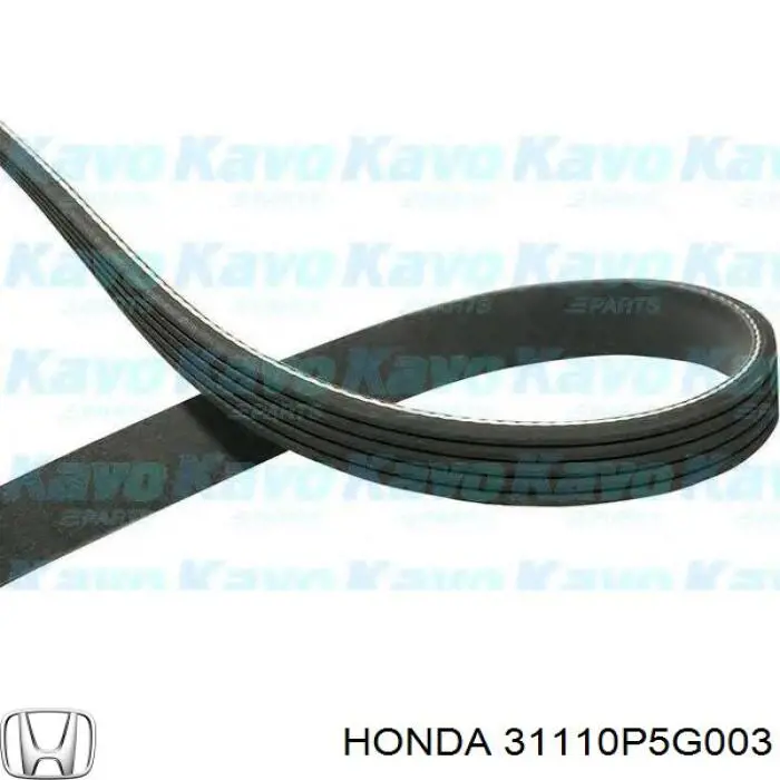 Клиновий ремінь Honda 31110P5G003 ціна, від 9.47 USD
