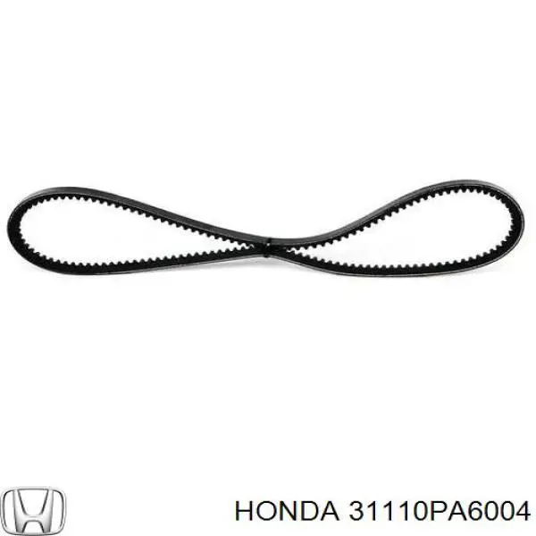 31110PA6004 Honda Поліклиновий ремінь