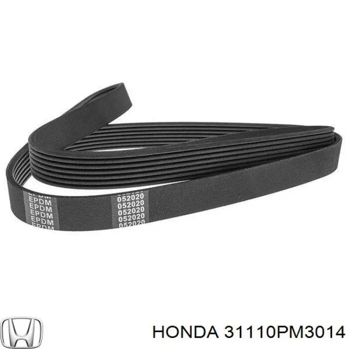 31110PM3014 Honda Поліклиновий ремінь