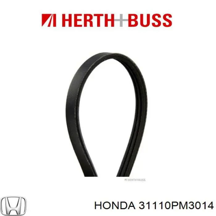 Купити 31110PM3014 Honda Ремінь генератора