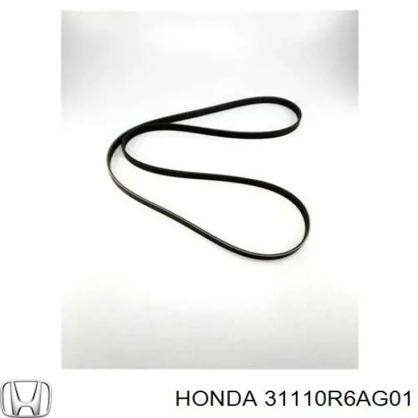 31110R6AG01 Honda Поліклиновий ремінь