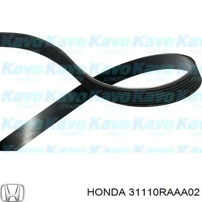 Купити 31110RAAA02 Honda Ремінь генератора