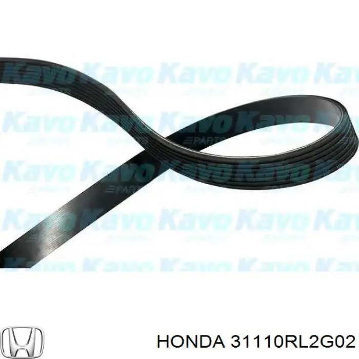 31110RL2G02 Honda Поліклиновий ремінь