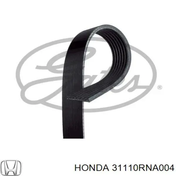 31110RNA004 Honda ремінь приводний, агрегатів